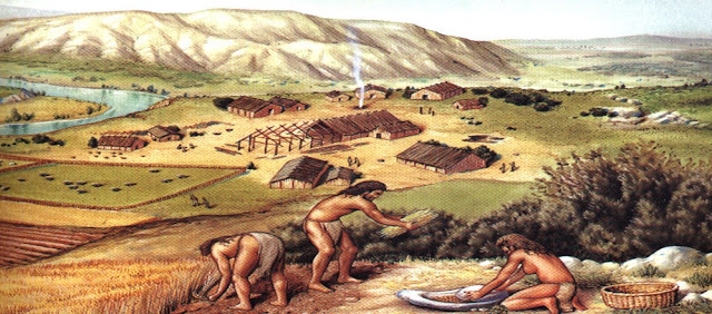 Etapa doméstica (sedentarios)