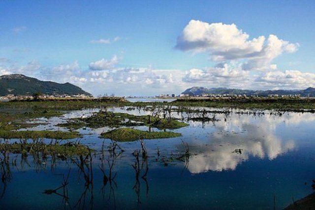 Protocolo de modificación del convenio sobre las marismas de importancia internacional especialmente como hábitat de aves acuáticas.