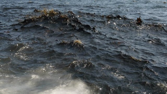 Protocolo de cooperación para combatir los derrames de hidrocarburos en la región del Gran Caribe.