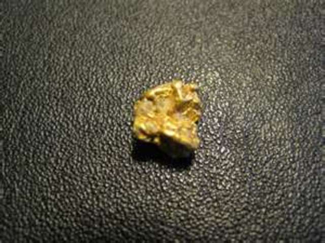 California Gold Rush