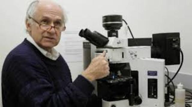 Creo la vacuna sintetica de la Malaria