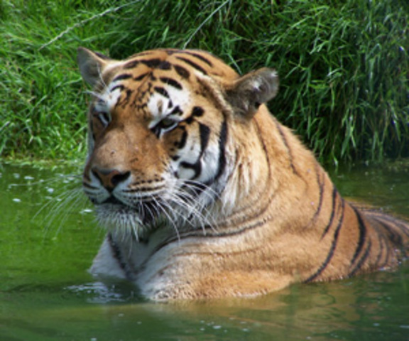 George moves to India