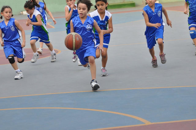 Basket