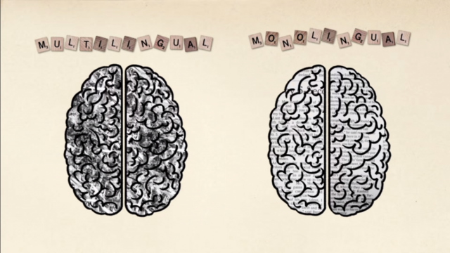 LEP (Limited English Proficiency)