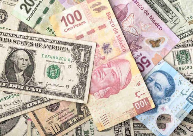 Flota del tipo de cambio