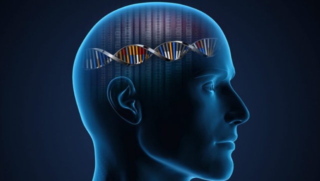 El enfoque genético