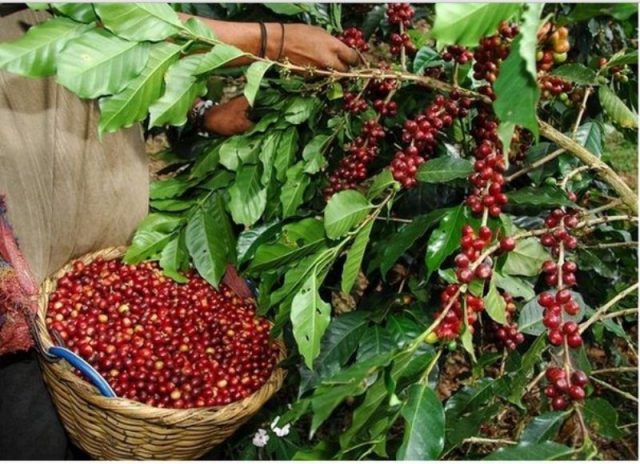 Manufacturas Revolución Industrial