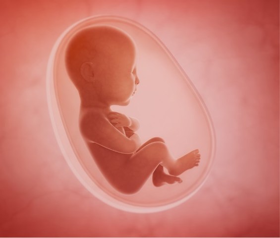 Obstetricia actual siglo XX en chile