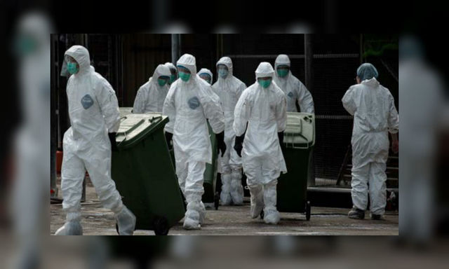 rusia causa epidemia