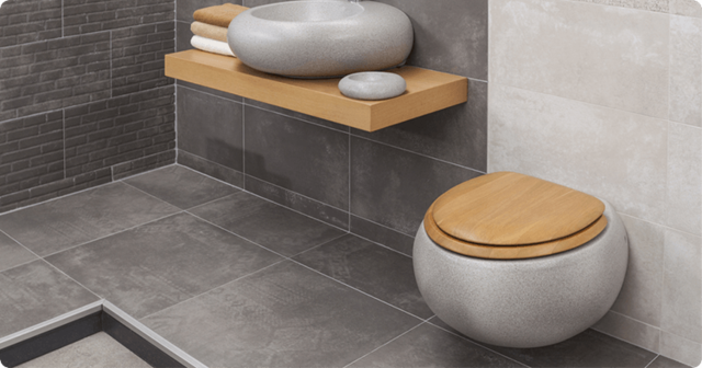 ACTUALIDAD DEL INODORO