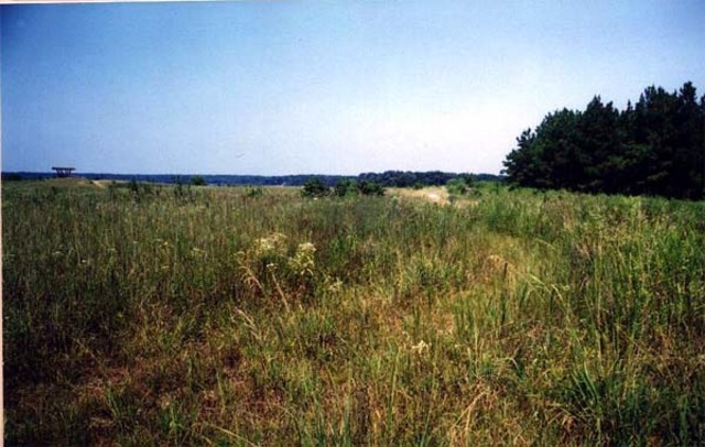 Immigration to the Prairies