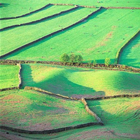el Parlamento voto cantidad de leyes que establecieron el cercamiento de campos abiertos