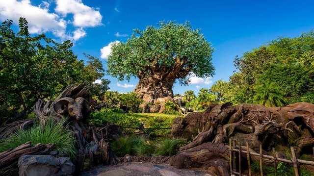 Animal Kingdom
