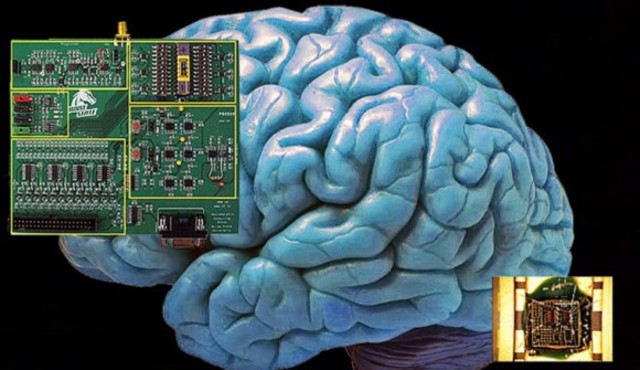 Chips que imitan el cerebro humano
