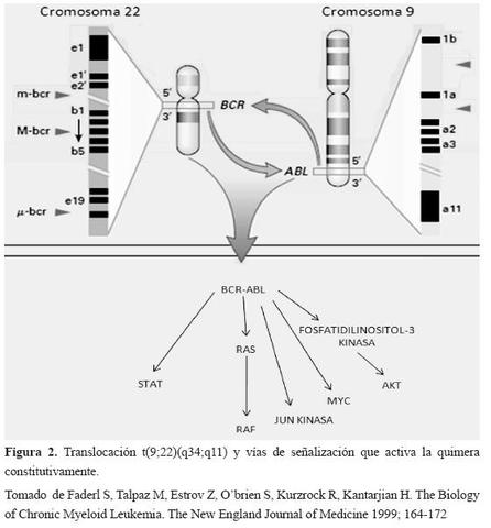 SE RECONOCIO ESTRUCTURA MOLECULAR BCR/ABL