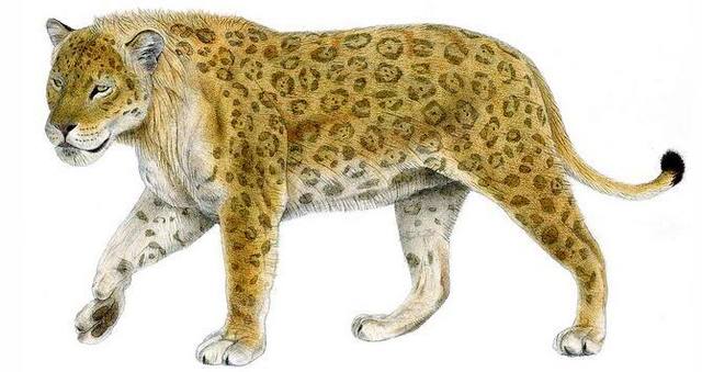PANTHERA ANCESTOR