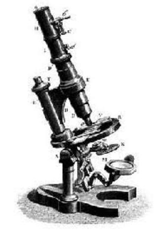 Microscopio compuesto