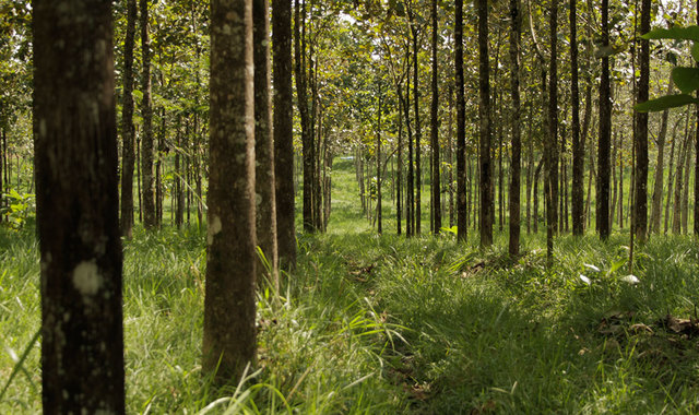 Medidas de protección