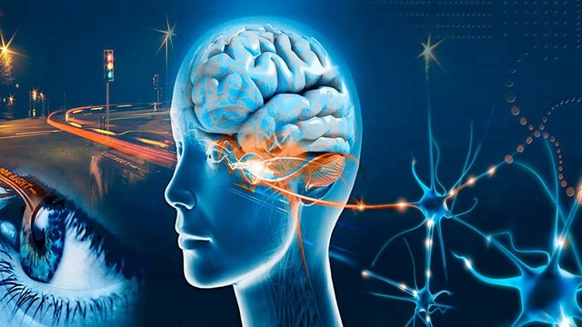 Inclusión de procesos psicológicos