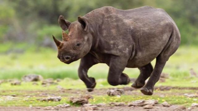 The Present Day Situation