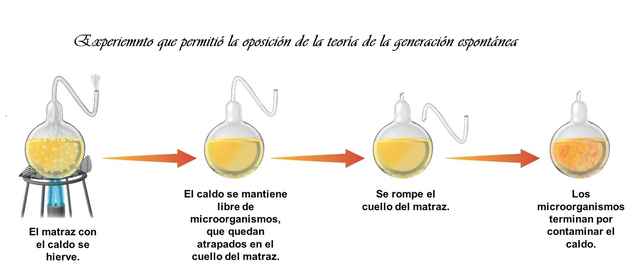 Oposición a la teoría de la generación espontánea