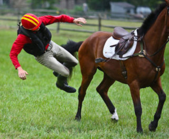 First Time Falling Off a Horse
