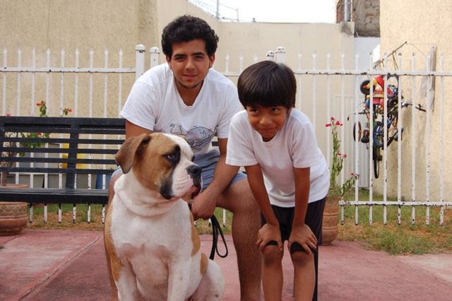 Mi llegada a Guadalajara y la llegada de mi nueva mascota