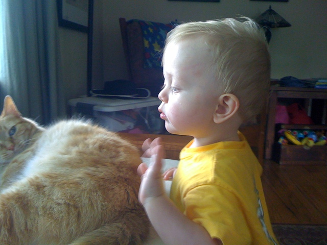 El Nacimiento De Drake