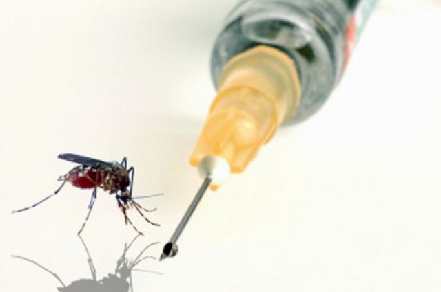 Vacuna contra la malaria