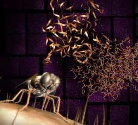 Rayos X contra la enfermedad del sueño