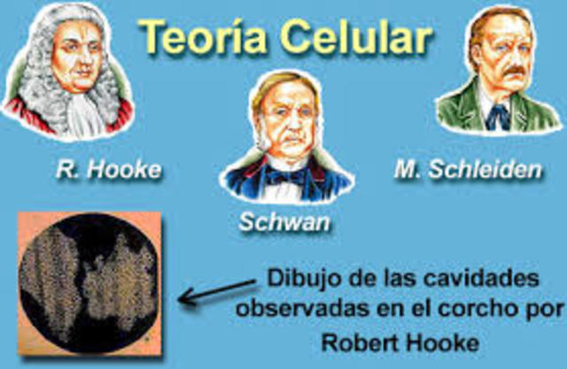 1835- 1855 TEORÍA CELULAR