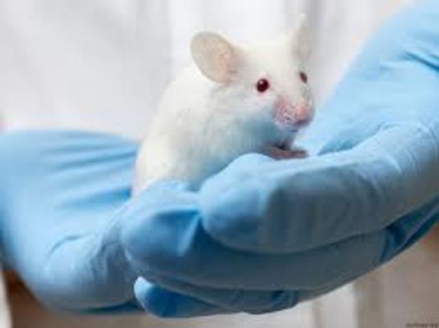 HIV eliminated from mice