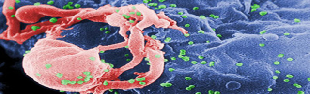 Tratamiento del VIH, como medida de prevención