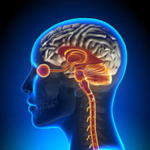 PERIODO CLÁSICO (1861 – 1945)