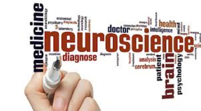 PERIODO CONTEMPORÁNEO (Desde 1975)