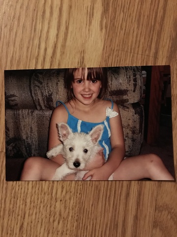 Getting my first dog