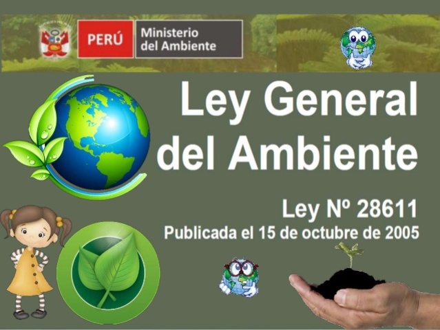 Ley General del Ambiente, Ley No. 28611,Artículo 78