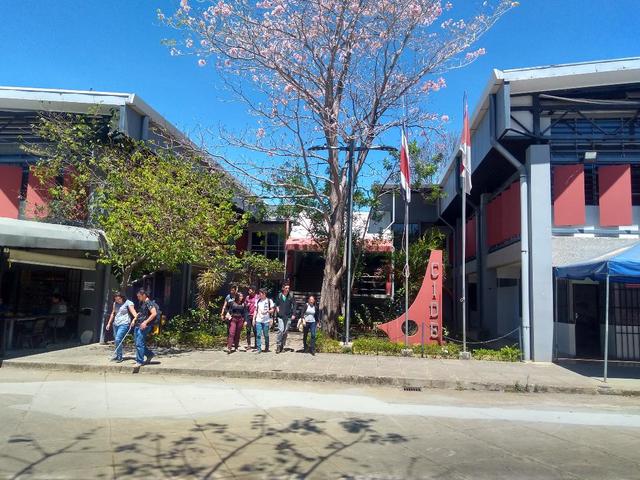 Inicio de labores del CIDE