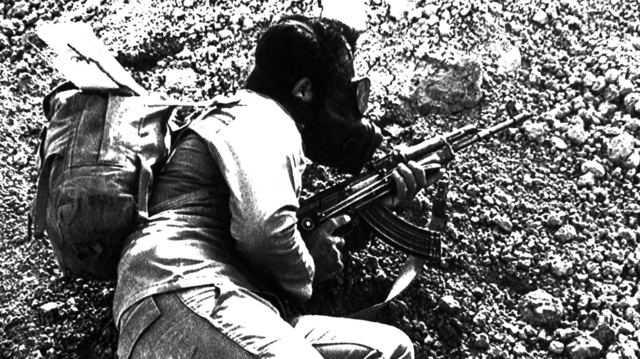 The Use of Chemical Weapons