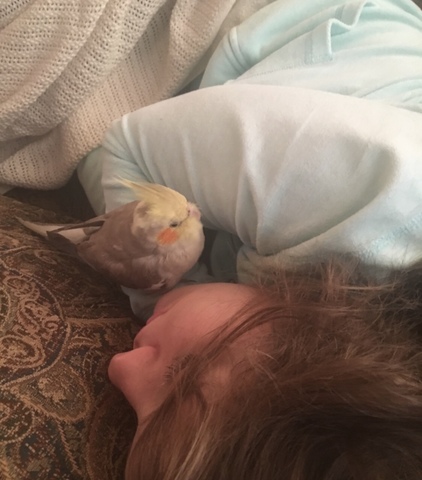 A New Addition to the Family