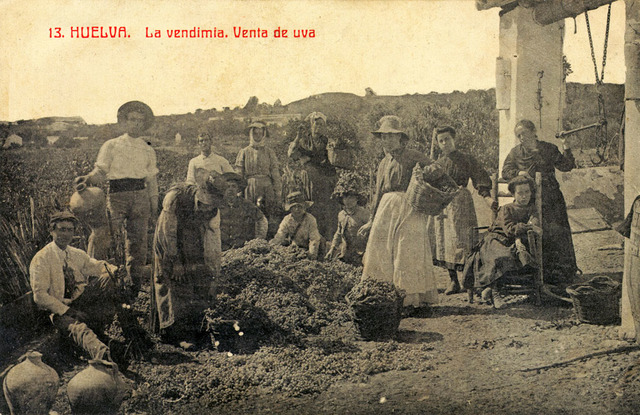 Mediados del Siglo XX