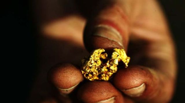 The deadly gold fever