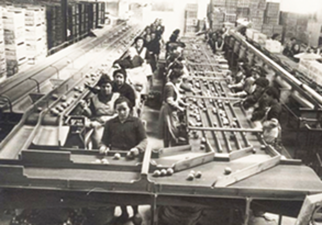 3era. etapa. 1950-1979.