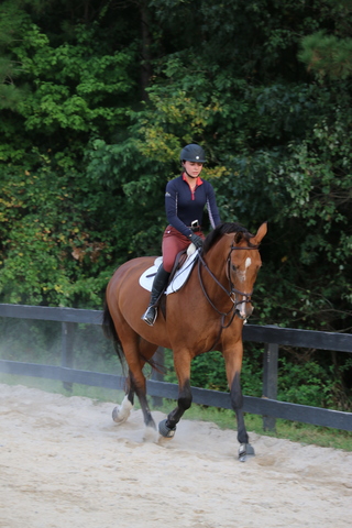 2018 - Mis padres me dieron un caballo, su nombre es Wylie