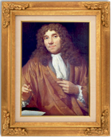 Anton Van Leeuwenhoek
