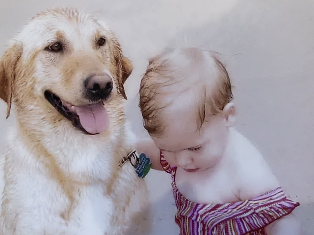 2005 - Mi familia, mis perros, y yo fuimos a la playa por primera vez.