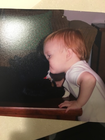 Llega mi primera mascota.