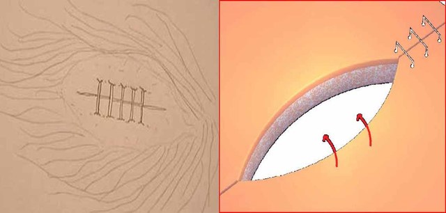 Épocas de la Primera Guerra Mundial