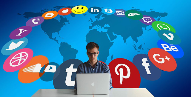 Organización del grupo de trabajo.