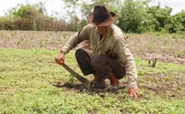 Más derechos a los campesinos